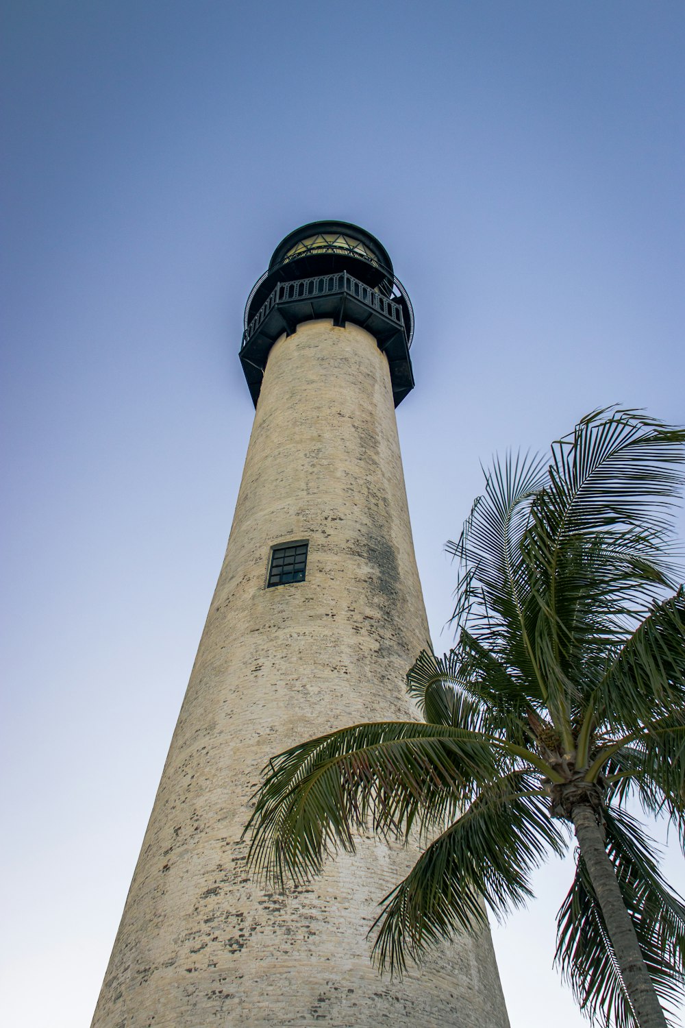 una torre alta con un reloj en la parte superior junto a una palmera