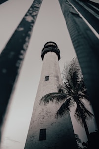 a black and white photo of a lighthouse and palm trees
