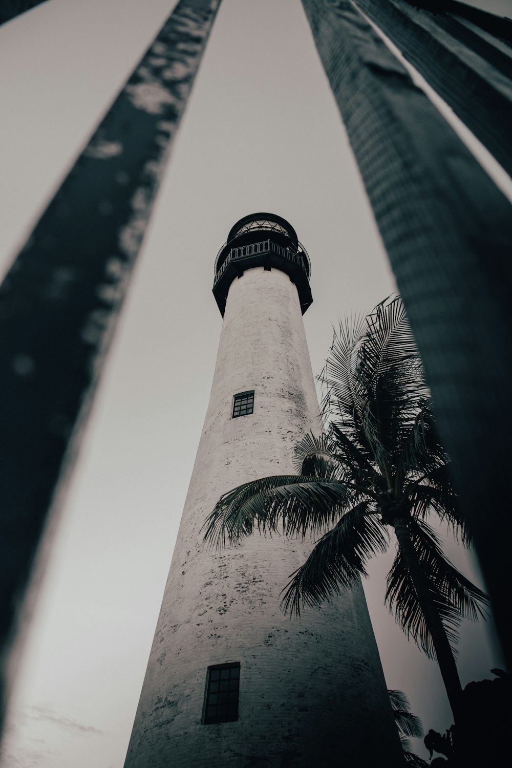 a black and white photo of a lighthouse and palm trees