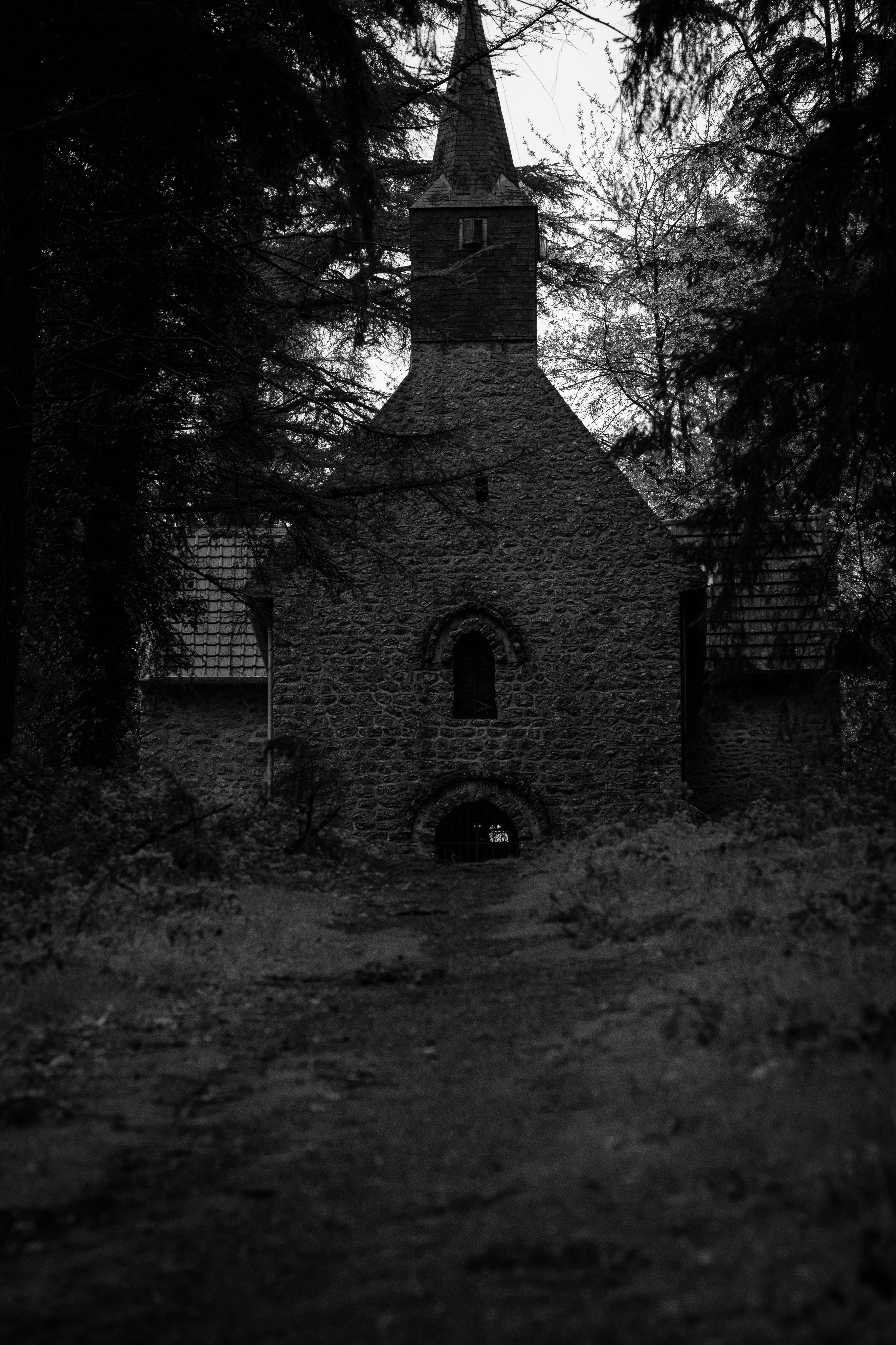 Photo by bidenureser