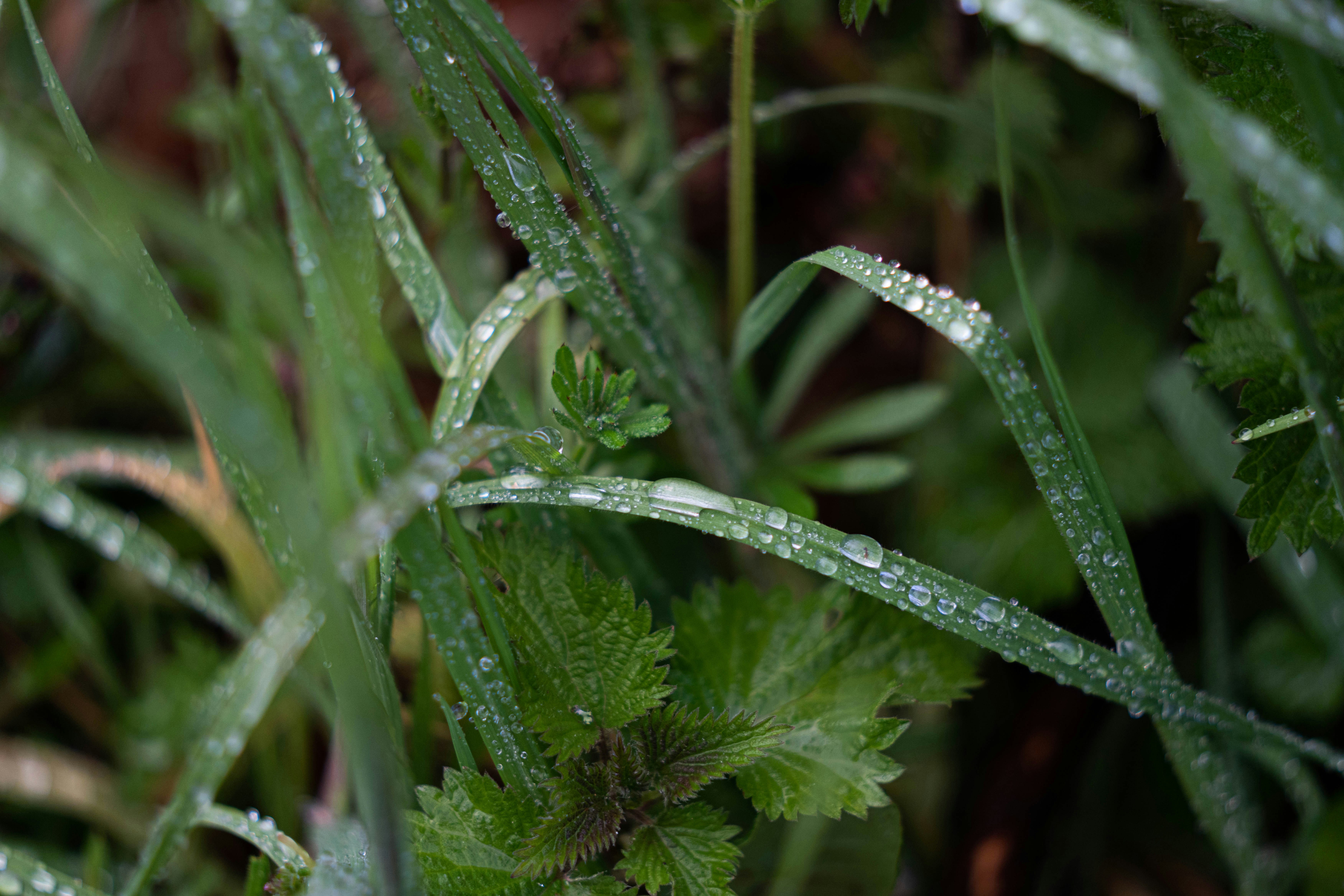 Photo by bidenureser