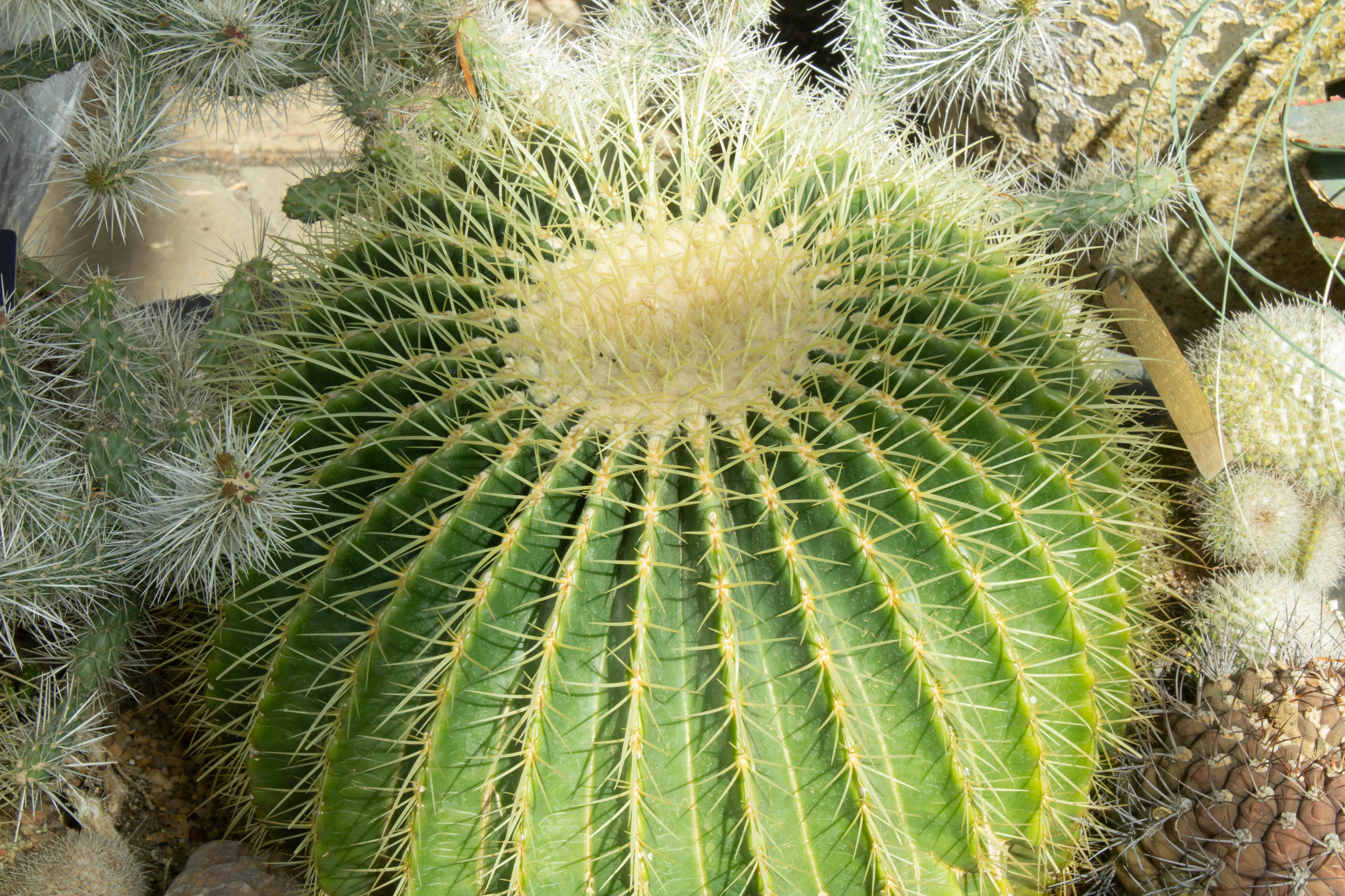 Photo by jennys_eye0