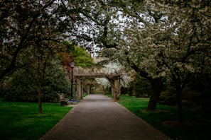 Lush garden pathway lined with blooming flowers and comfortable benches