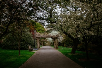 A cozy pathway lined with trees and flowers.