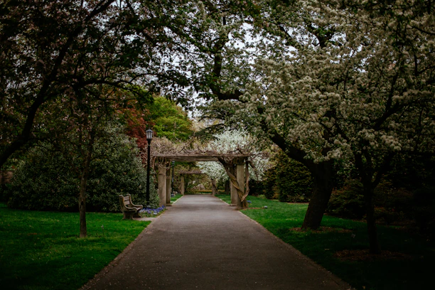 A peaceful pathway winding through lush greenery and connecting elegant villas at sunset.