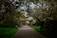 A peaceful pathway lined with green trees in Al Azhar Memorial Garden.