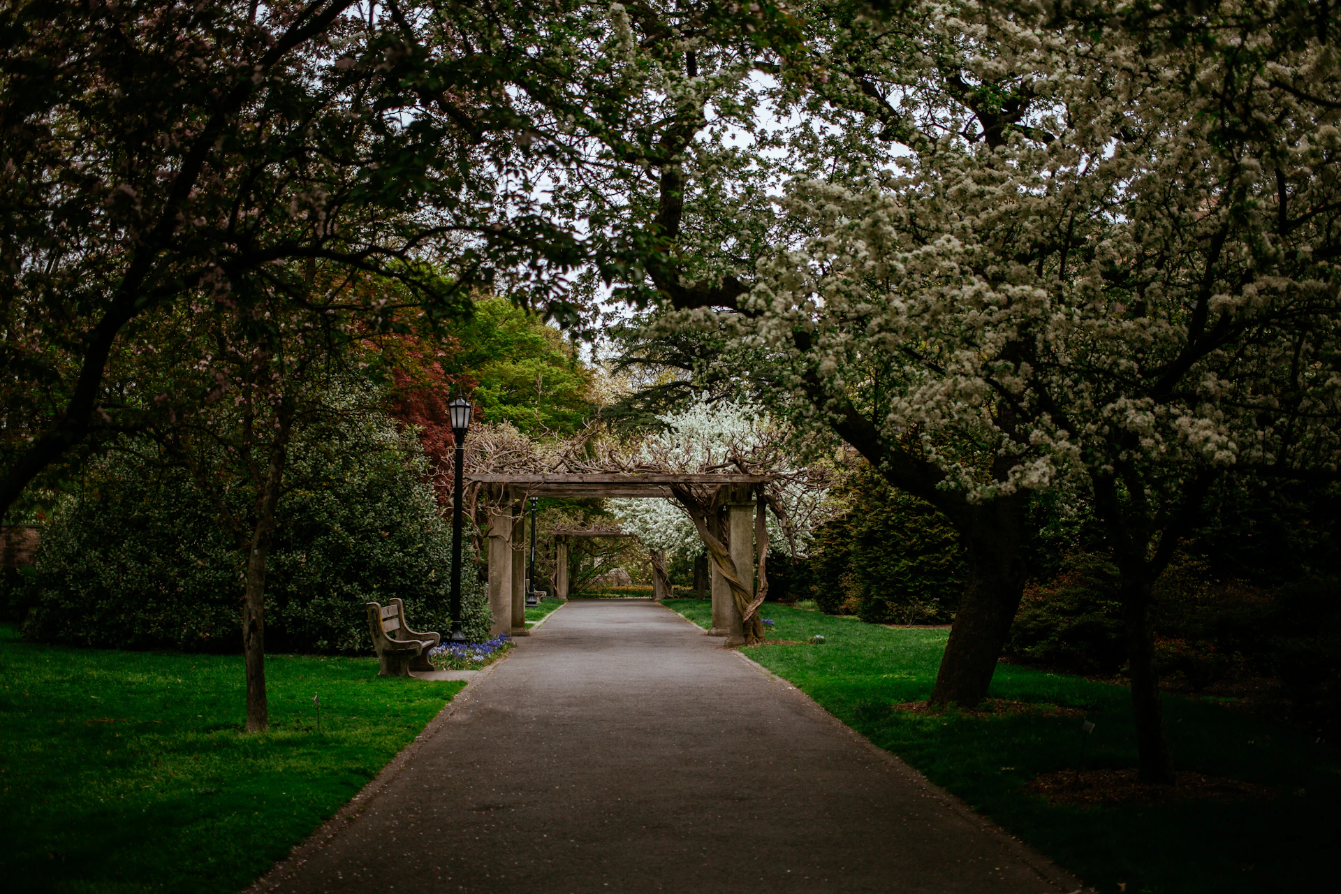 woman wearing yellow long-sleeved dress under white clouds and blue sky during daytime