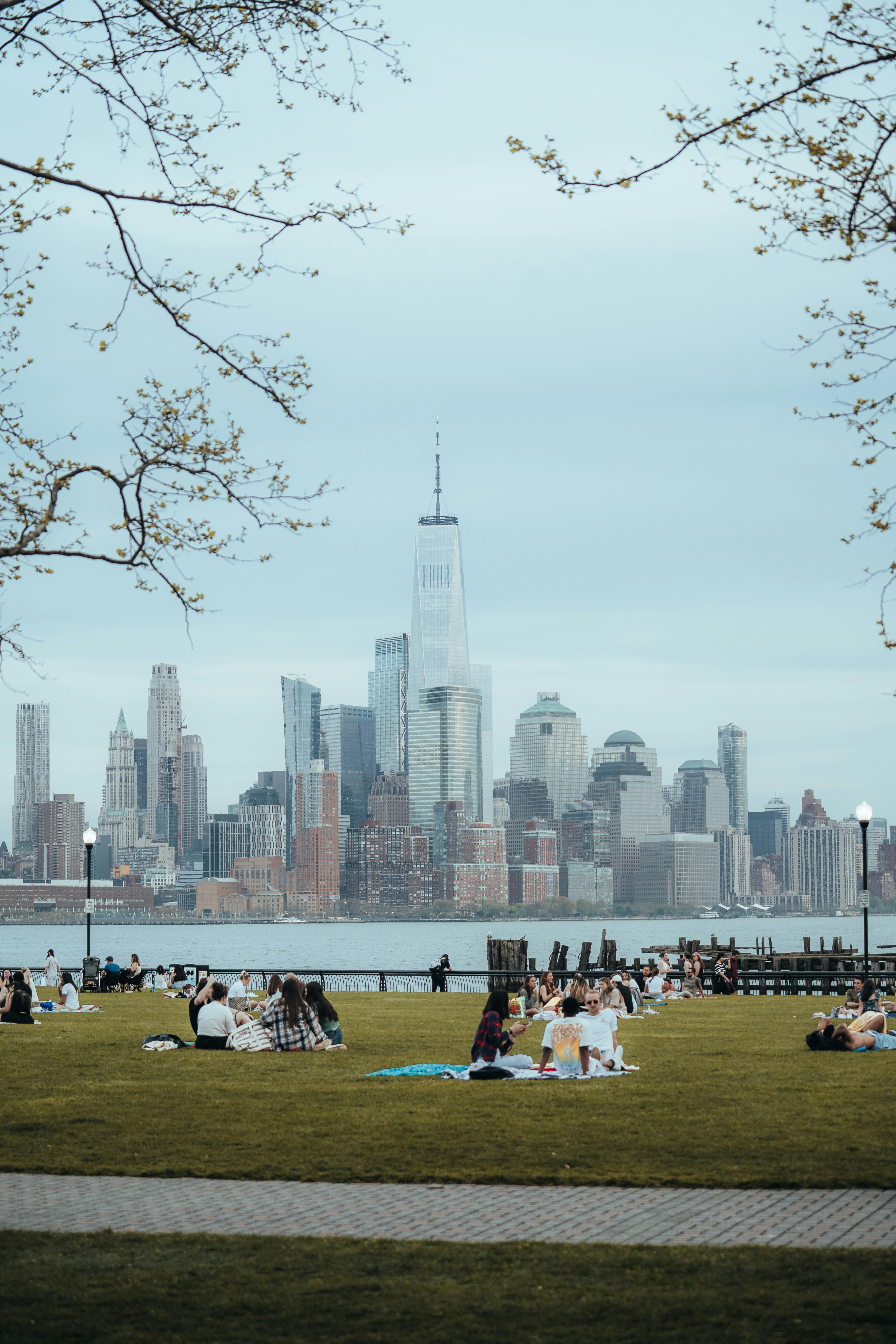 a group of people sitting on top of a lush green field