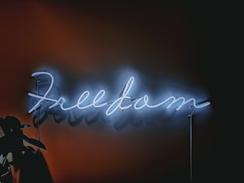 A neon sign with the word 'freedom' written in cursive, emitting a soft blue glow against a dark background. A silhouette of a plant is visible in the lower left corner.