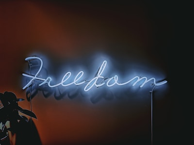 A neon sign with the word 'freedom' written in cursive, emitting a soft blue glow against a dark background. A silhouette of a plant is visible in the lower left corner.