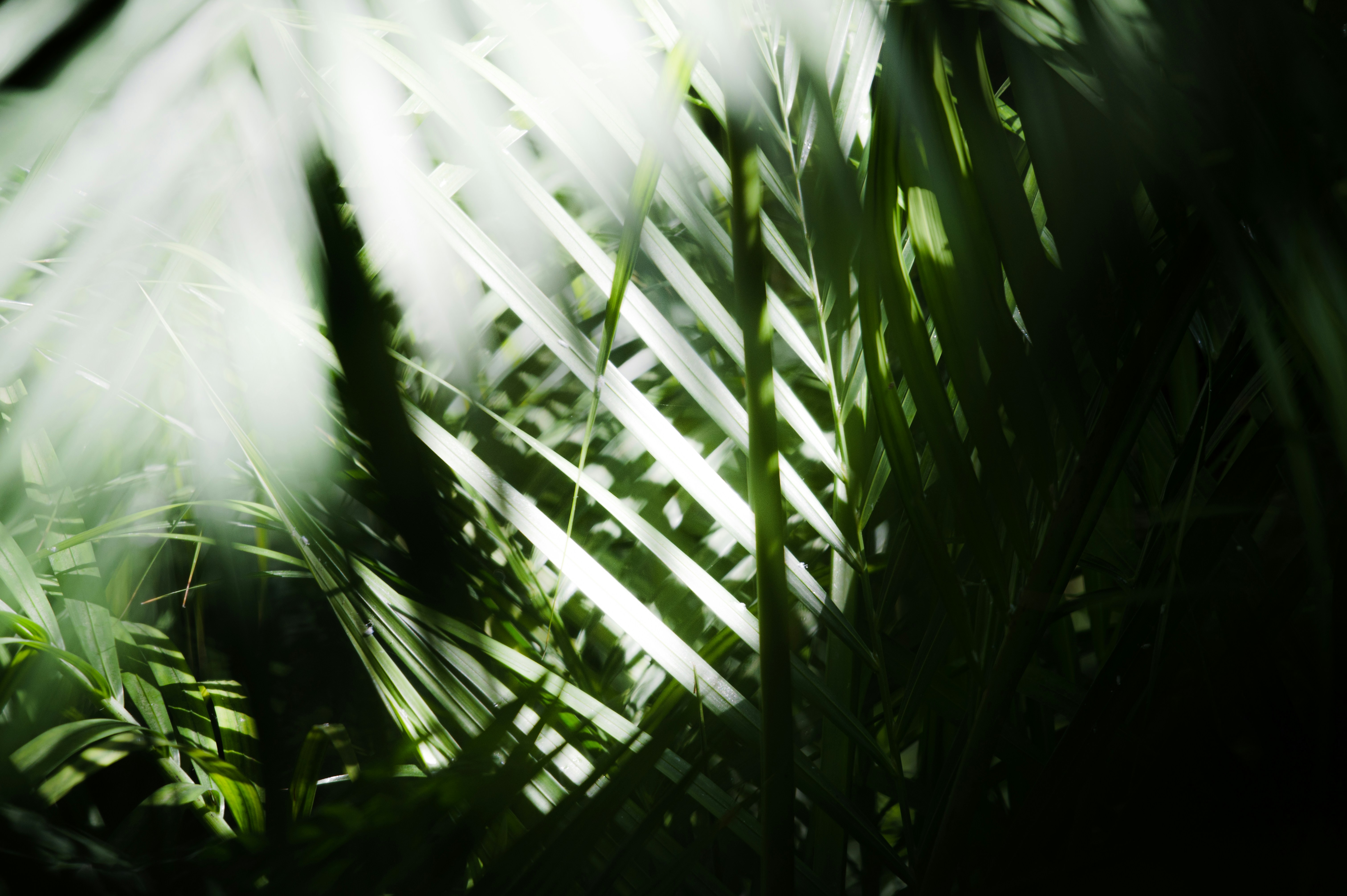 Photo by ryunosuke_kikuno