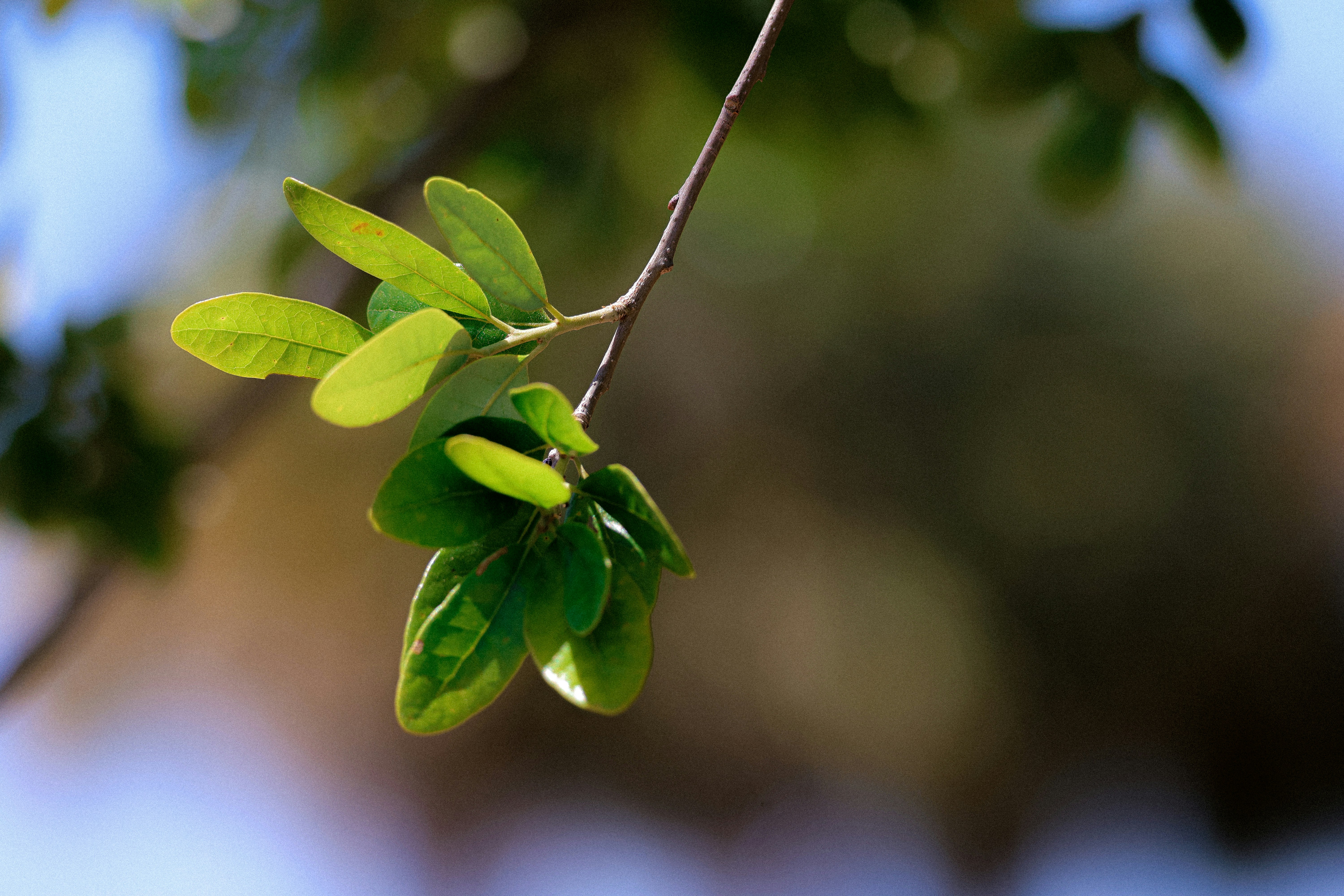 Photo by bittersweet_cappuccino