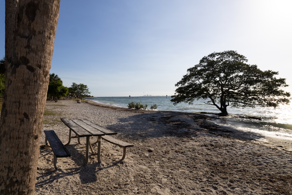 Un banc en bois posé au sommet d'une plage de sable photo – Photo La nature  Gratuite sur Unsplash