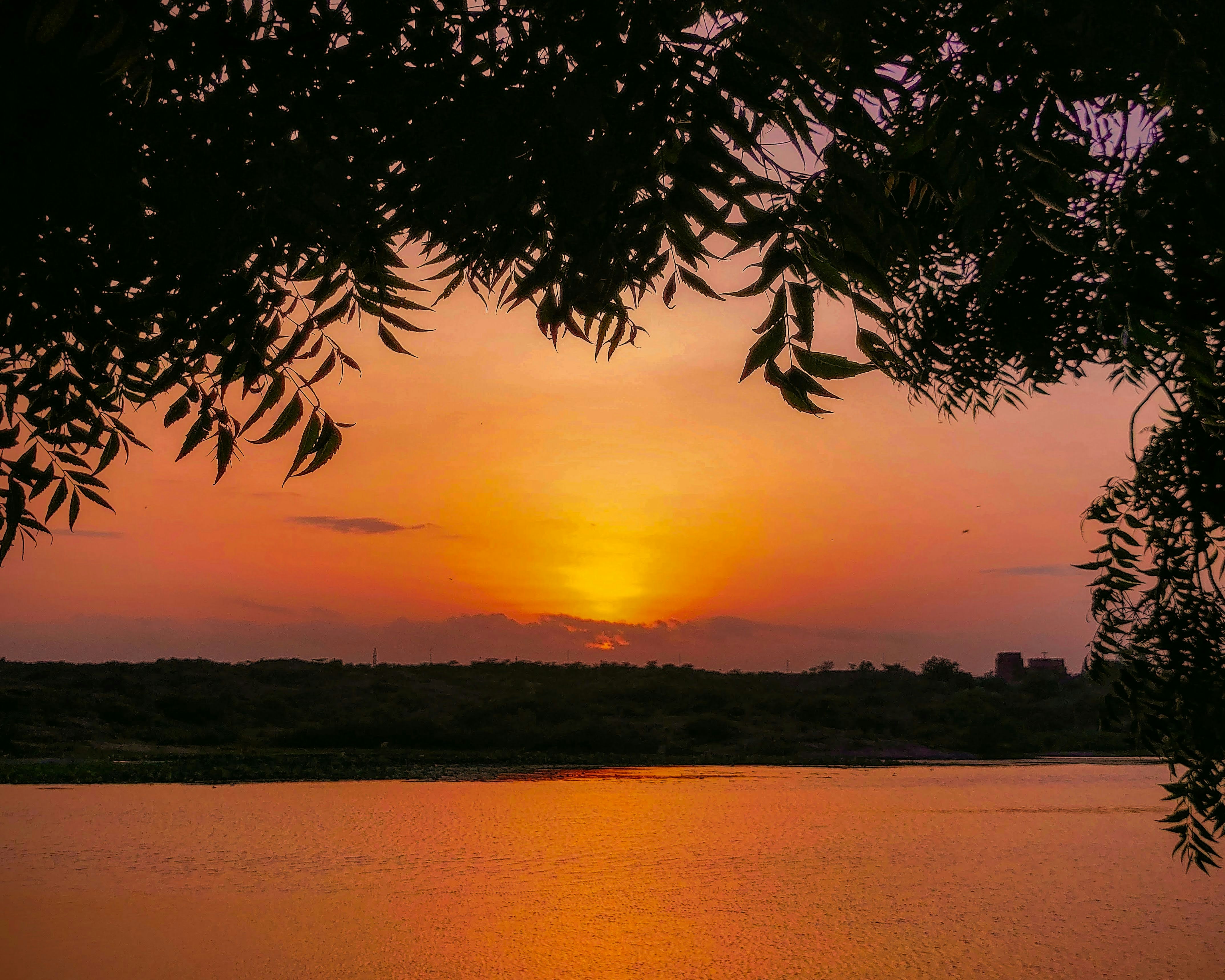 Photo by singhvi_shrey