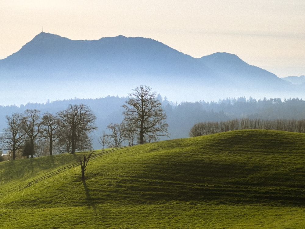 a grassy hill with trees and mountains in the background