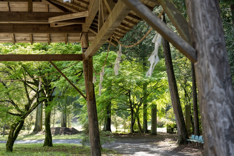 A tranquil wooded area with lush green trees and dappled sunlight filtering through the leaves. A wooden structure with a traditional design occupies the foreground, adorned with white folded paper streamers hanging on a rope. A path leads through the forest, and to the right, there are some blue plastic chairs.