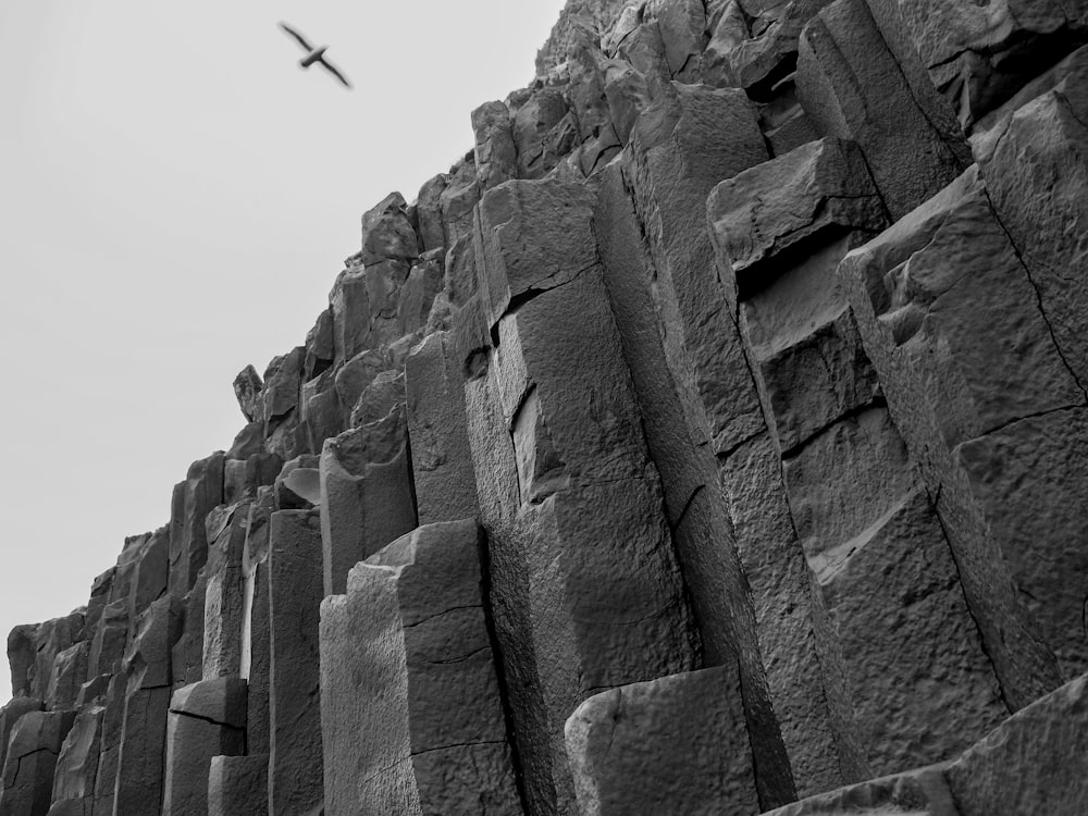 a black and white photo of a bird flying over a rock formation