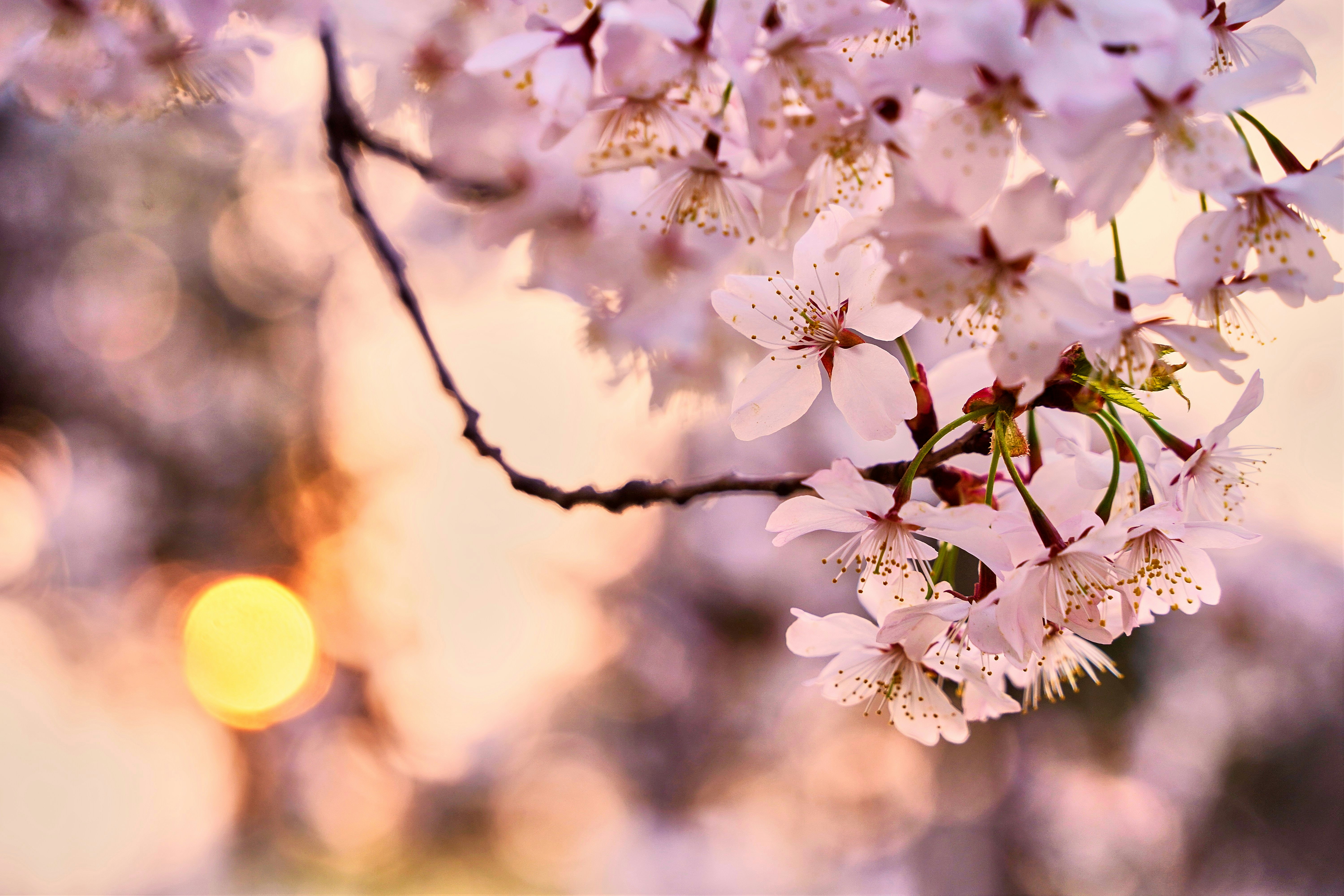 Your Weekend Lift April 21