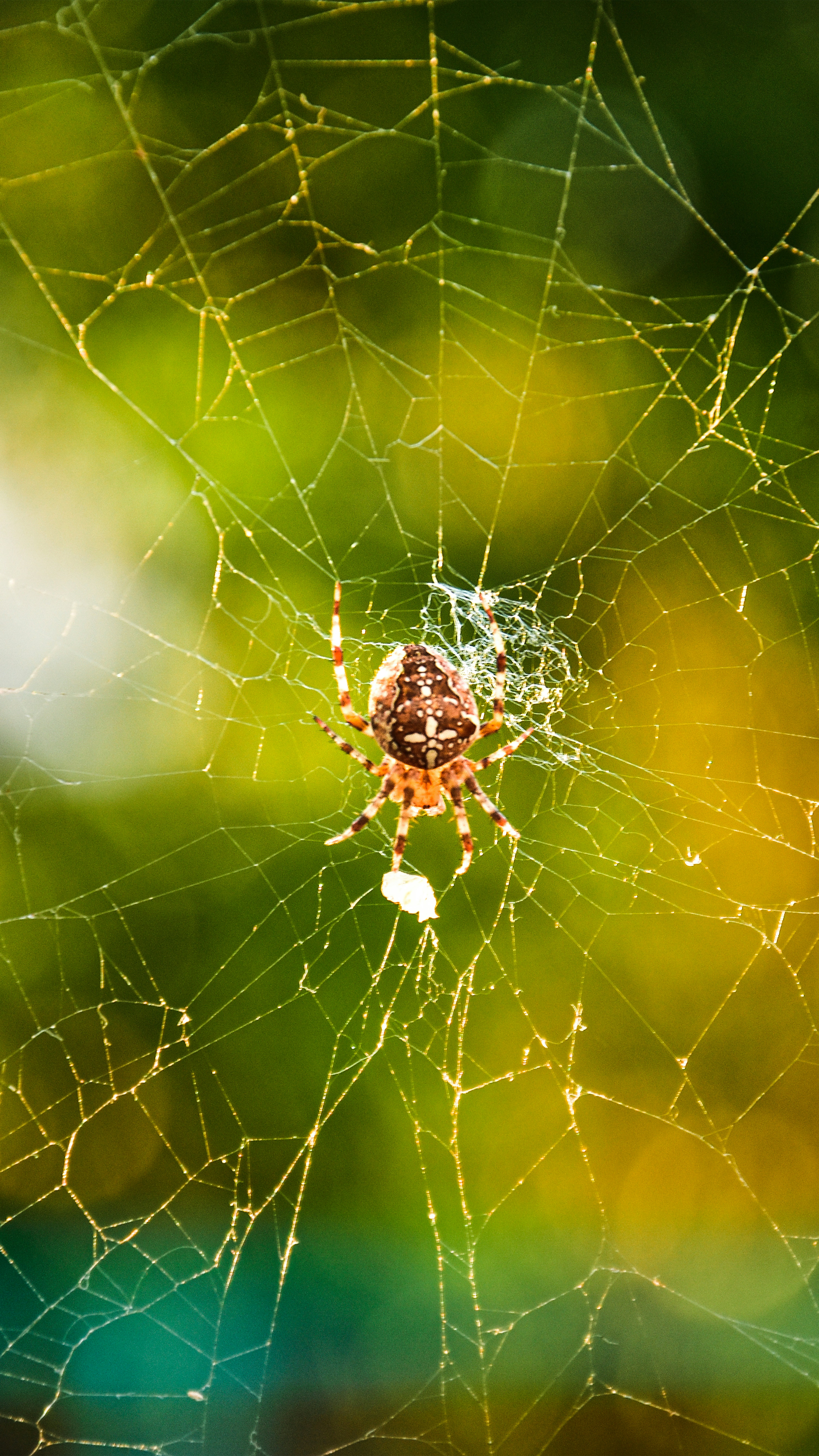 Photo by impermanent