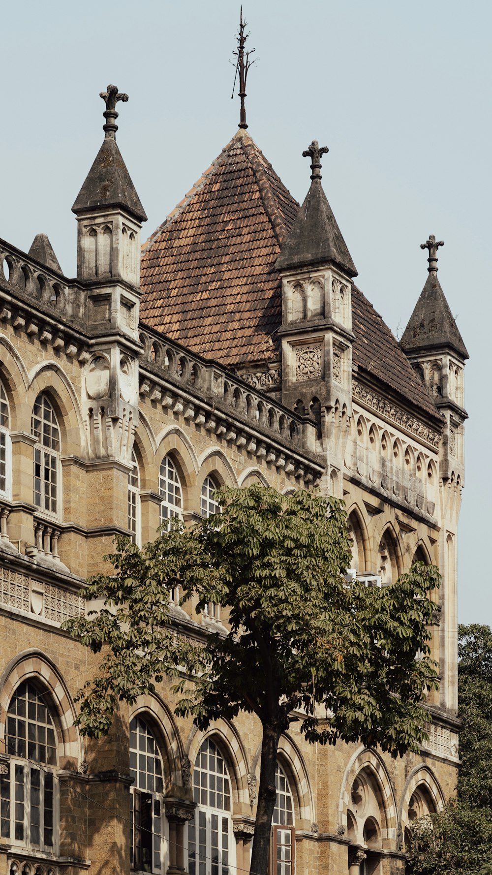 a large building with a tree in front of it