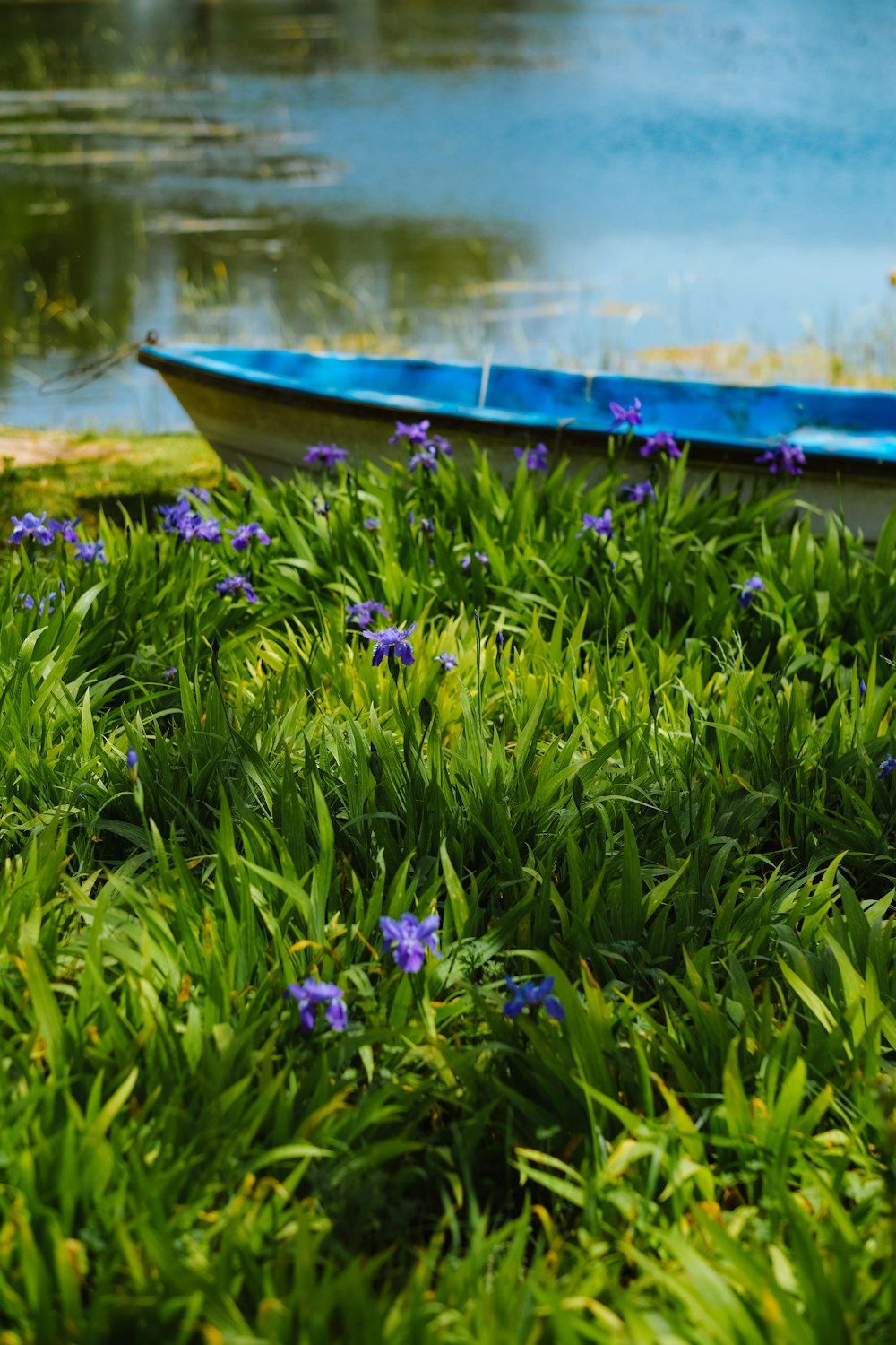 a row boat sitting on top of a lush green field