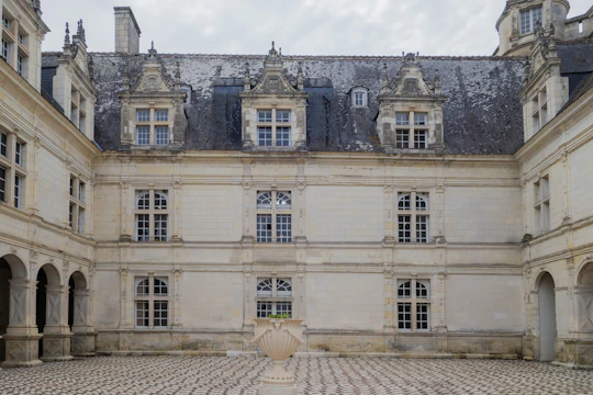 Elegant courtyard paved with reclaimed flagstones from a French countryside estate, bathed in soft natural light.