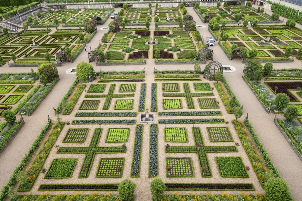 a large garden with many different plants in it