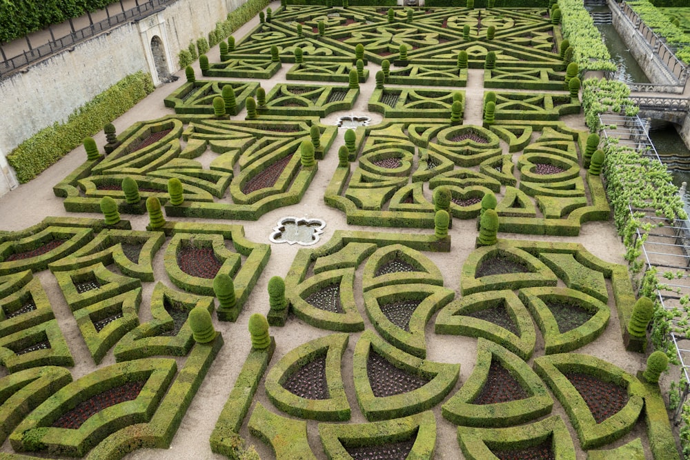 a large garden with a lot of hedges