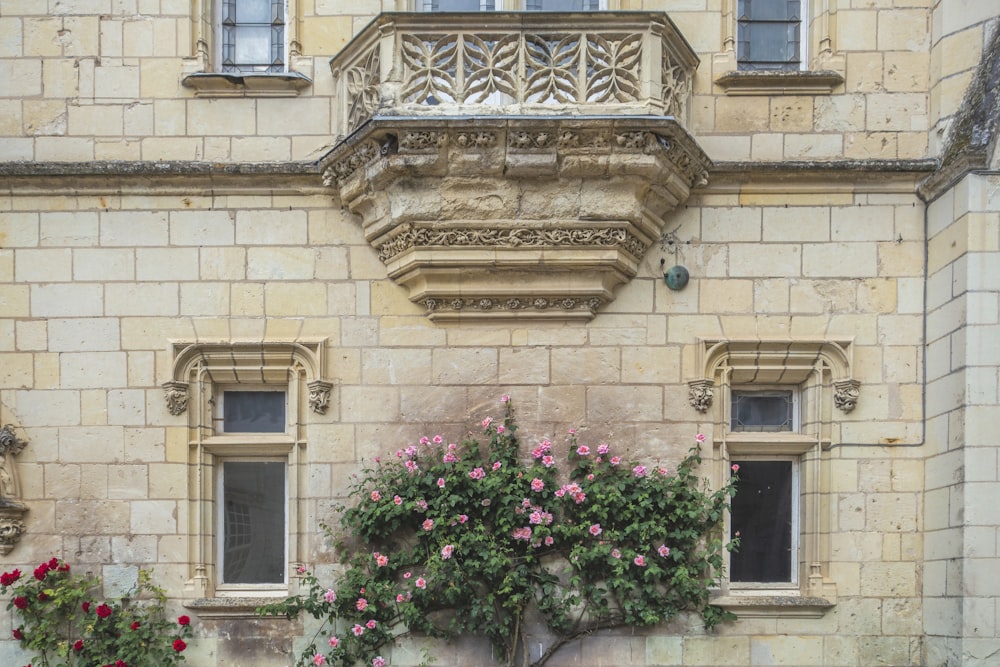 a building with a tree and flowers in front of it