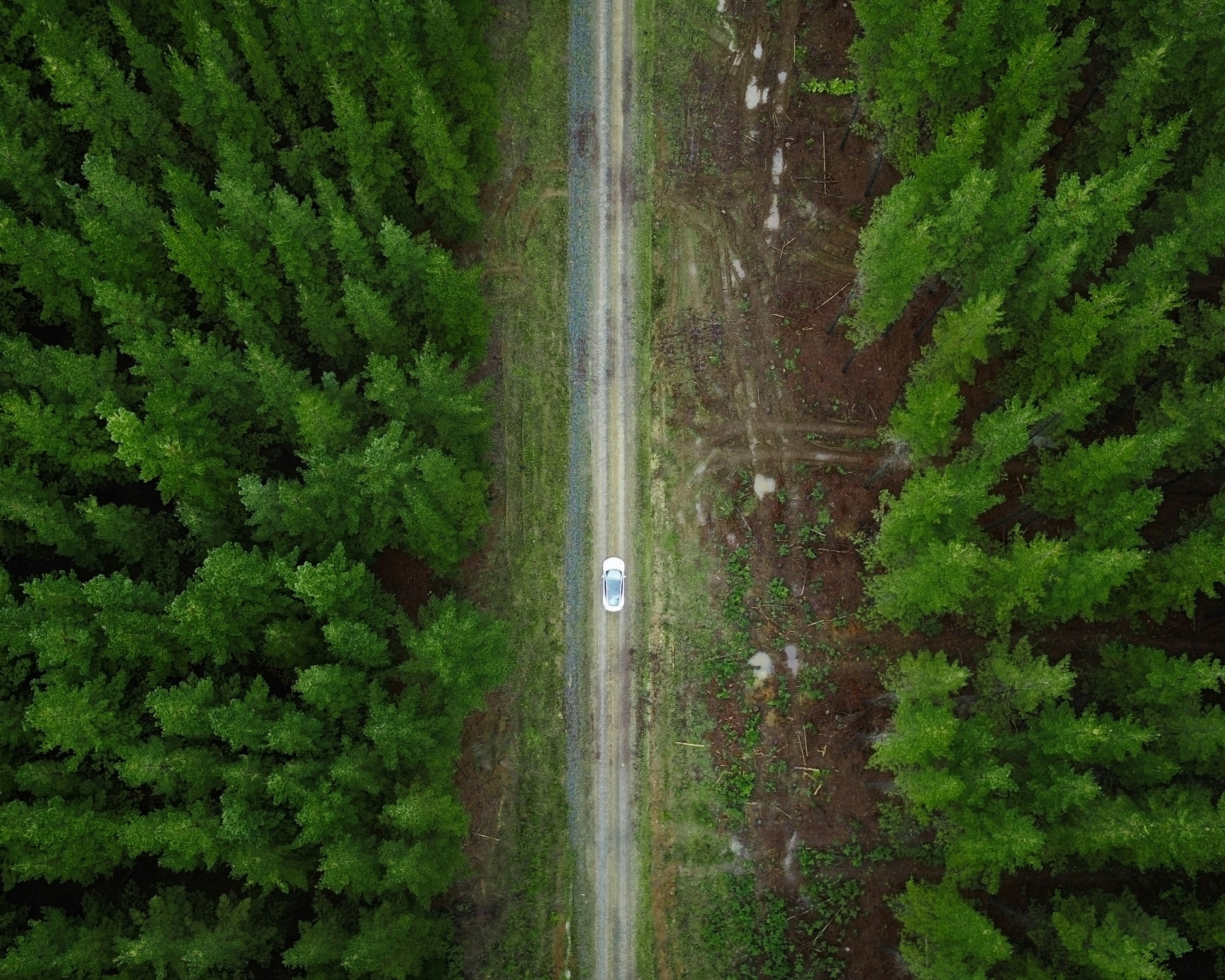 an aerial view of a dirt road in the middle of a forest