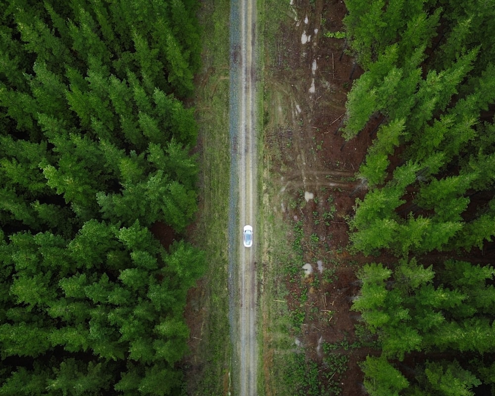 an aerial view of a dirt road in the middle of a forest