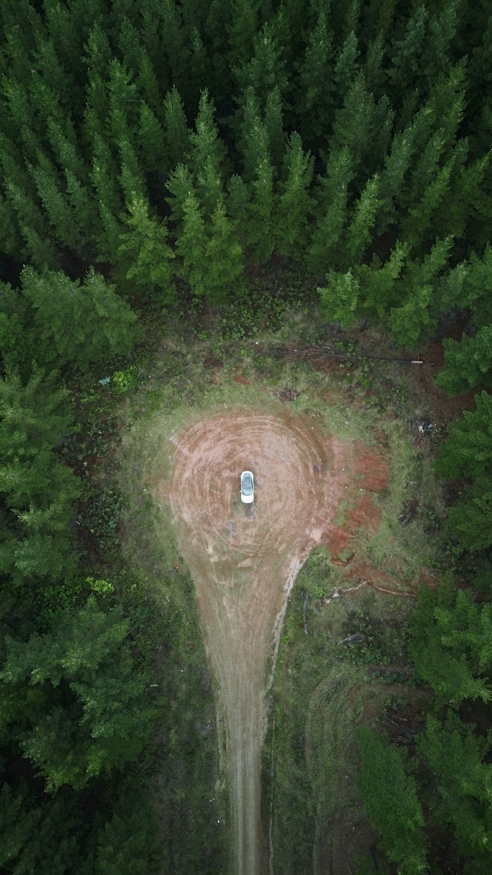 Una vista aérea de un coche conduciendo a través de un bosque