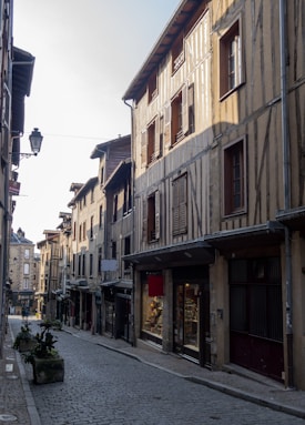A quaint cobblestone street is lined with charming, old-fashioned buildings featuring exposed wooden beams and shuttered windows. The narrow street appears quiet and is illuminated by soft, natural light, with a few small leafy plants placed along the edges.