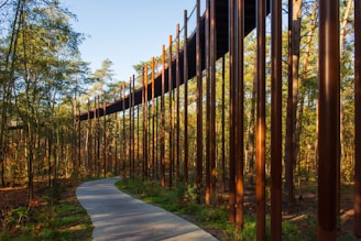 A winding metal path elevated above a natural wetland area, preserving the delicate ecosystem below.