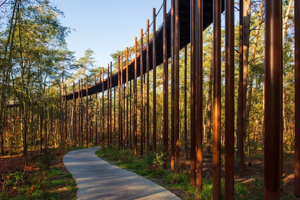 A winding metal path elevated above a natural wetland area, preserving the delicate ecosystem below.