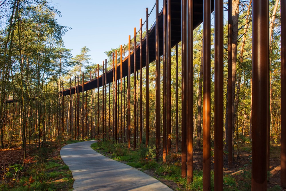 a path through a forest with a metal structure in the background
