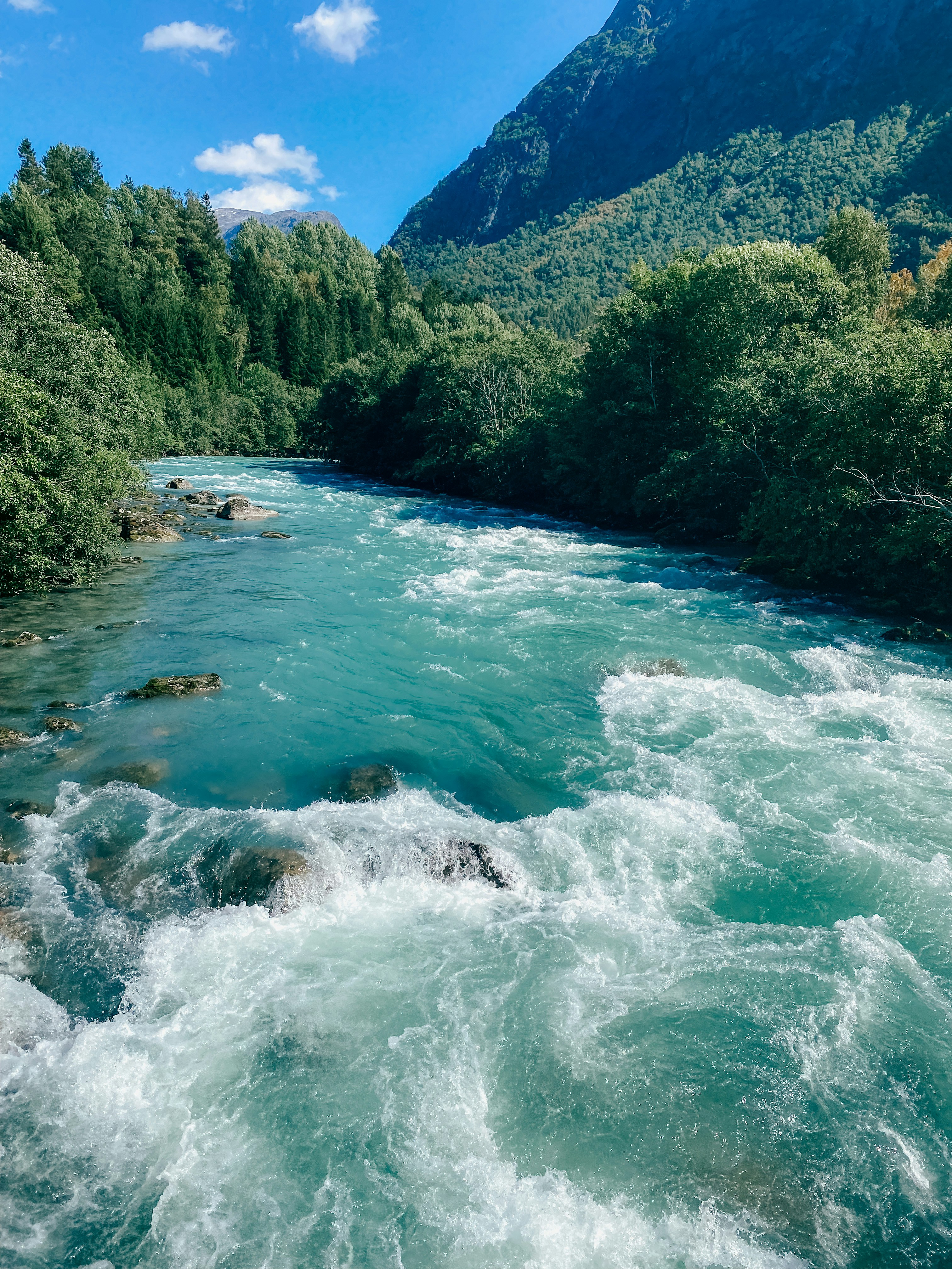 Tour Volcán Tenorio