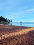 A serene beach scene featuring a wide expanse of reddish sand leading to calm, reflective water. In the distance, a line of trees borders the shore on the left, with a single isolated tree visible closer to the horizon. The sky above is clear and blue, enhancing the tranquil atmosphere.
