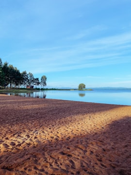 A serene beach scene featuring a wide expanse of reddish sand leading to calm, reflective water. In the distance, a line of trees borders the shore on the left, with a single isolated tree visible closer to the horizon. The sky above is clear and blue, enhancing the tranquil atmosphere.