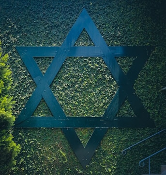 A large, dark-colored Star of David is mounted on a wall covered with dense greenery. The star is constructed from sturdy, intersecting beams and is prominently displayed against the lush, leafy background. To the left, there is a partial view of a tree or bush, while the bottom right corner shows a metal railing.
