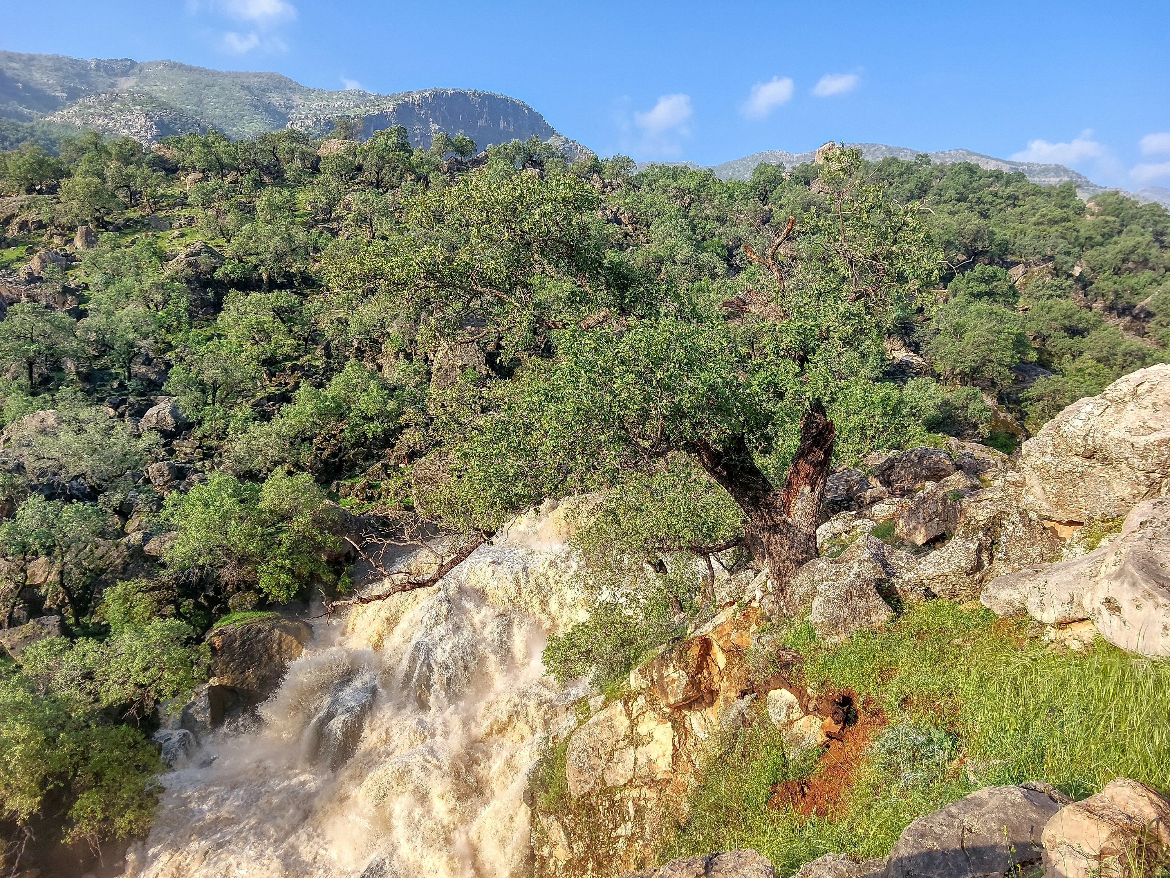 Photo by aliarjmandi