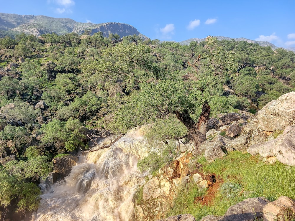 a view of a mountain with trees and a waterfall