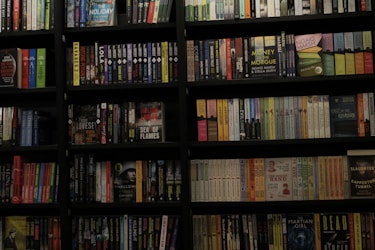 Unveiling the Thrills: A Journey into the World of Thriller Books