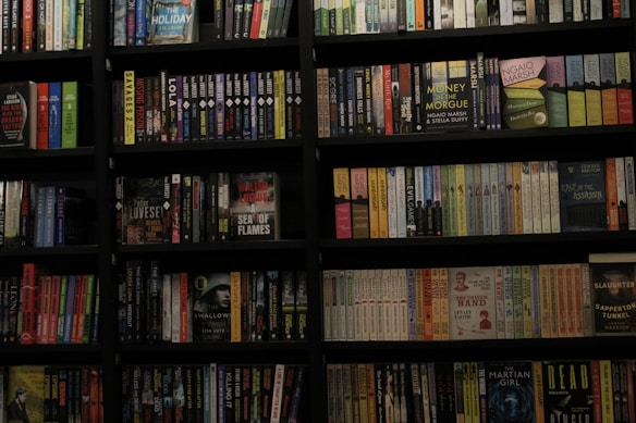 A bookshelf filled with a wide variety of books. The shelf has numerous colorful book spines, including titles in different genres such as mystery, thriller, and historical fiction. The books are neatly organized and arranged in rows, covering the entire available space on the shelf. Notable titles include 'Sea of Flames' and 'Money in the Morgue'.