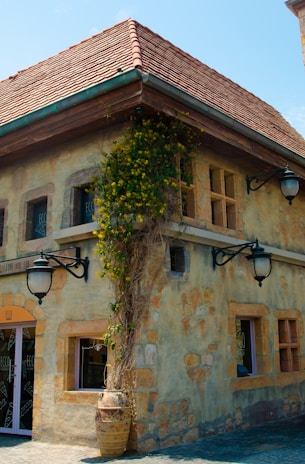 Factory exterior with rustic charm and local architecture