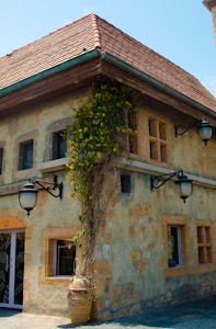 A rustic building with a stone facade and a red tiled roof, adorned with vintage-style lamps. A climbing plant with yellow flowers grows along the wall from a large ceramic pot. The windows and doors have wooden frames, and there are subtle textures on the walls.