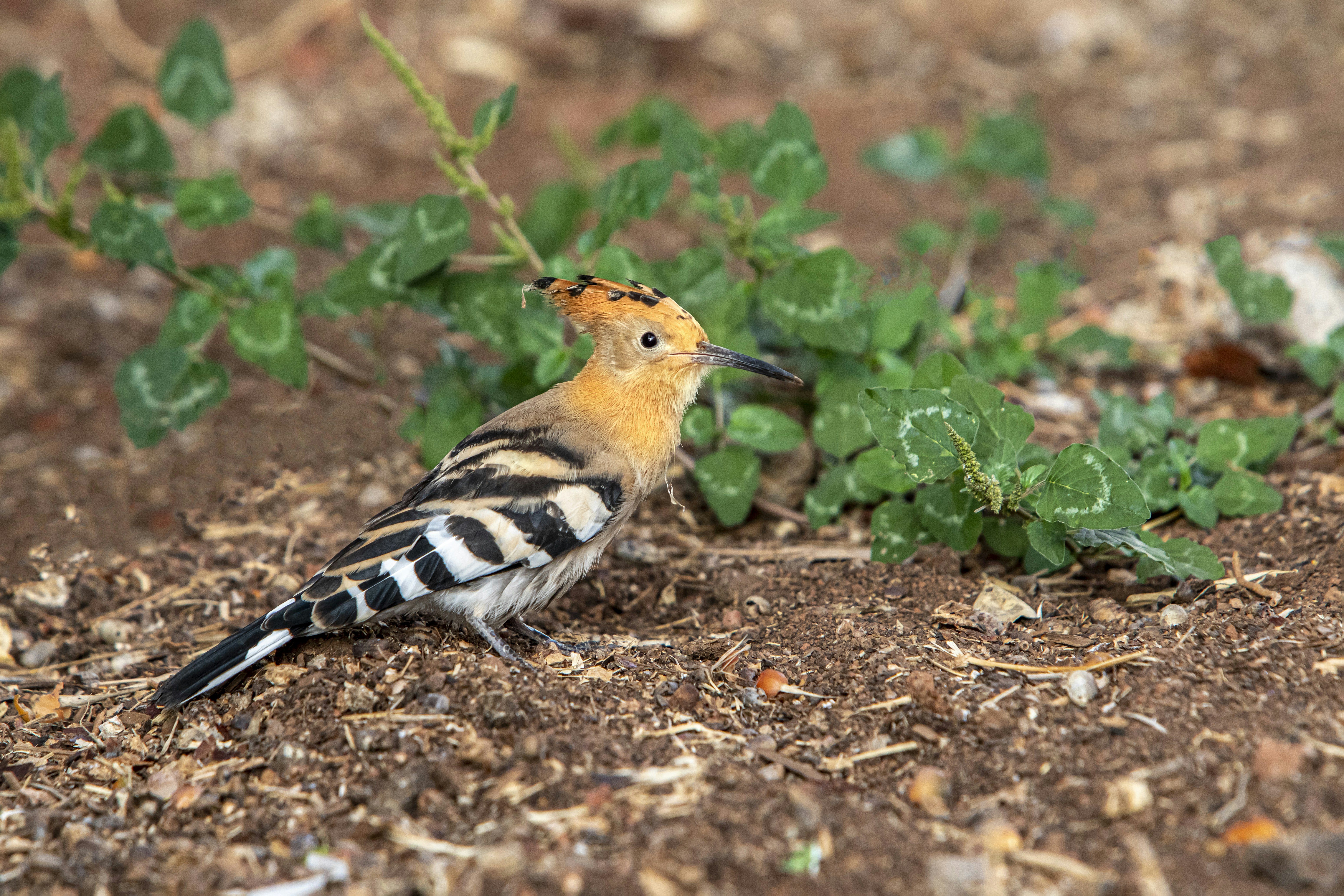 Photo by erik_karits