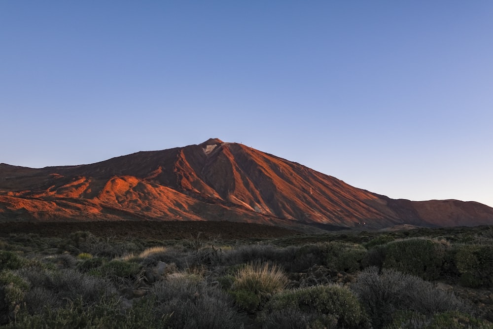 a very tall mountain in the middle of a field