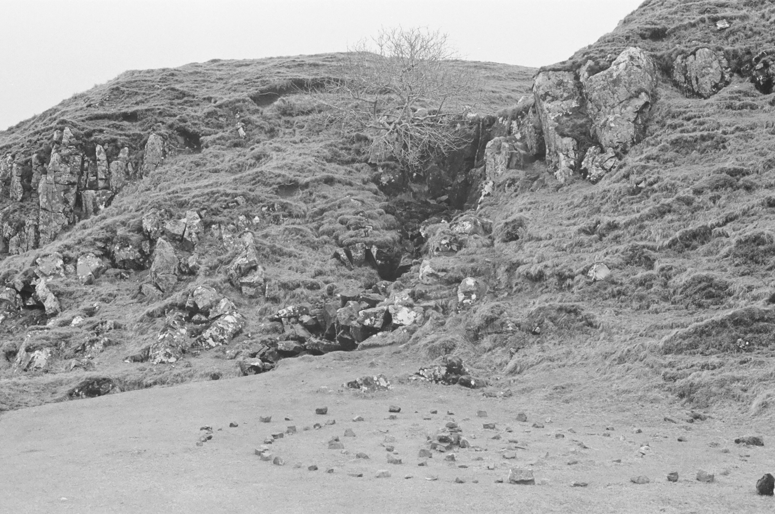 Photo by louissproul