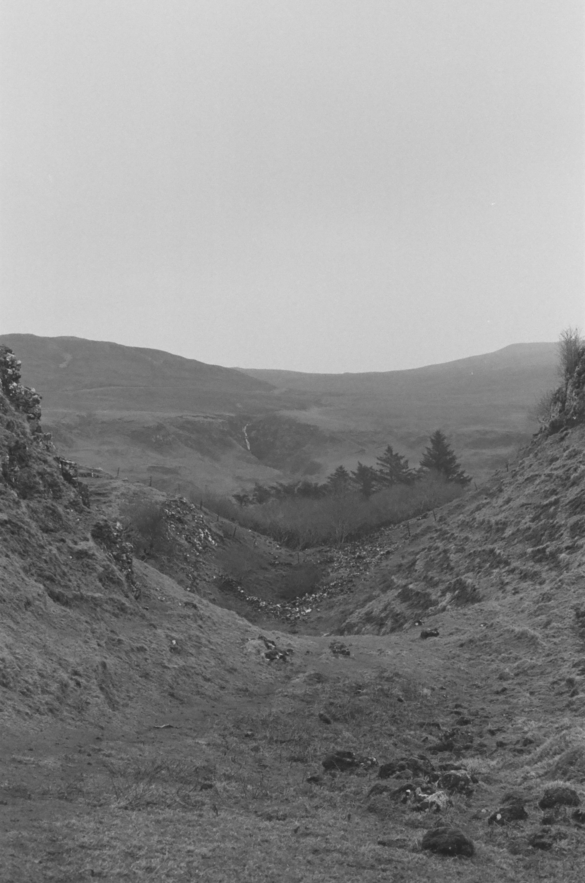 Photo by louissproul